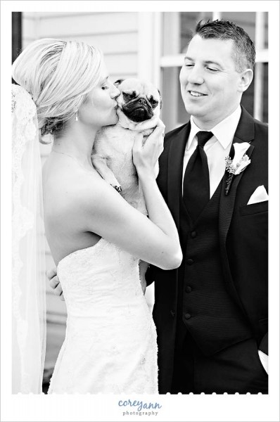 bride and groom portrait with dog pug