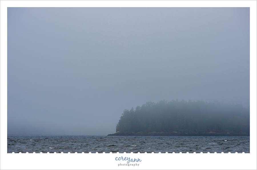 fog-in-maine