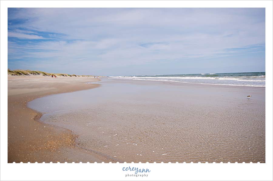 ocracoke-beach2