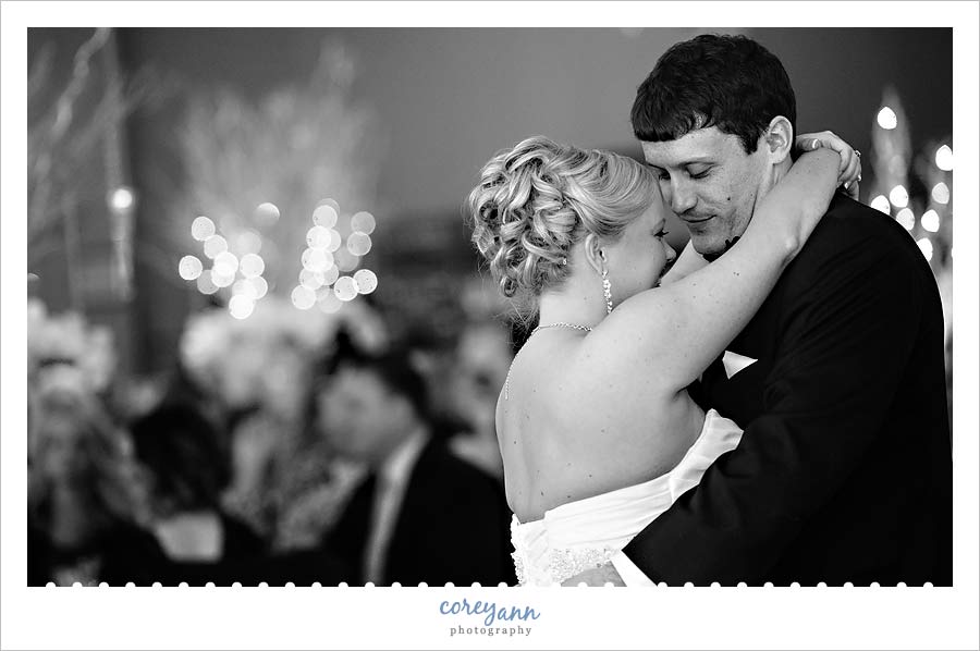 avion on the water reception