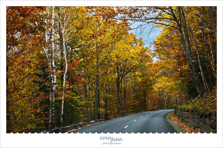 Loop Road in Acadia National Park