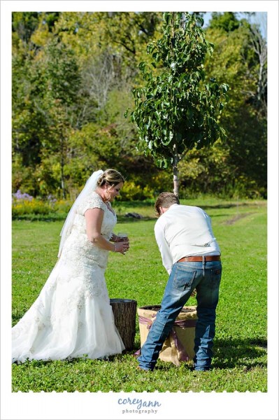 bride and groom doing unity tree ceremony in ohio