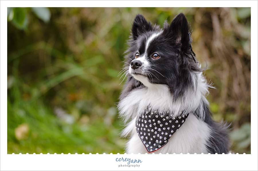 lakeshore-reservation11