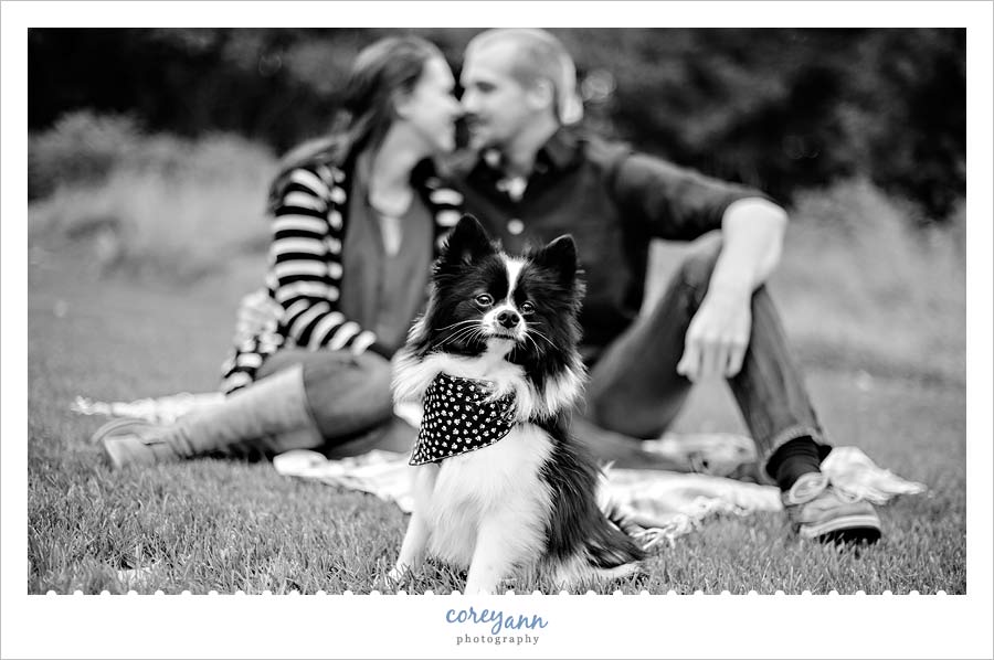 lakeshore-reservation3