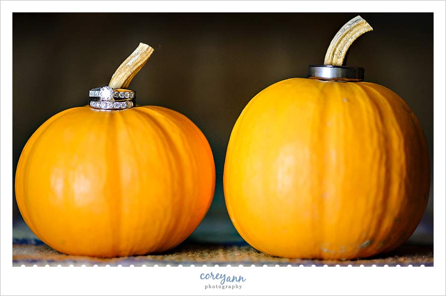 wedding rings on top of small pumpkins