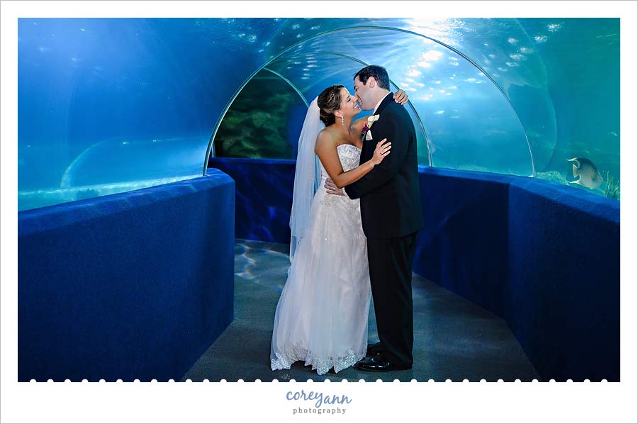 wedding cocktail hour in greater cleveland aquarium