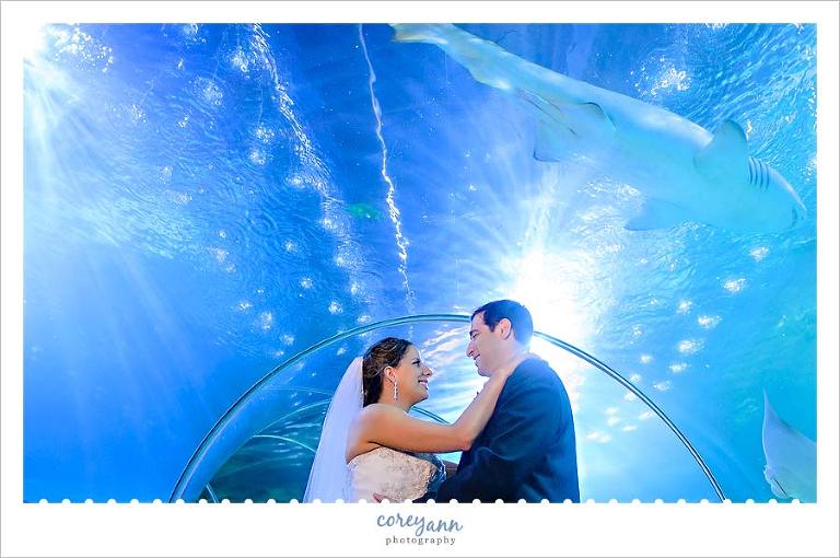 wedding portrait in greater cleveland aquarium with shark tank