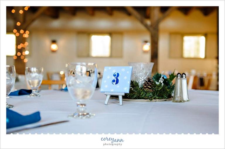blue and white winter themed centerpieces