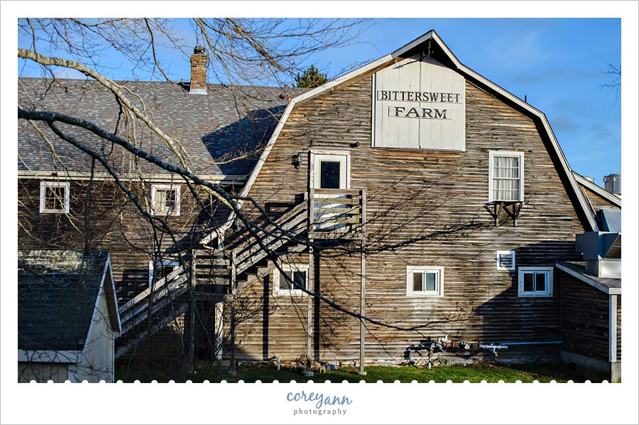 bittersweet farm wedding venue in westport ma