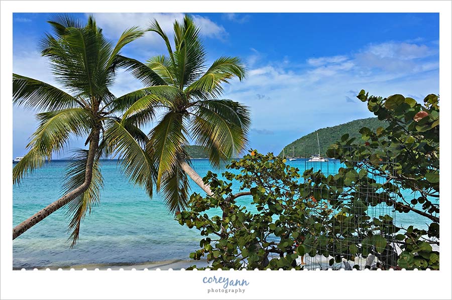 maho bay st john usvi