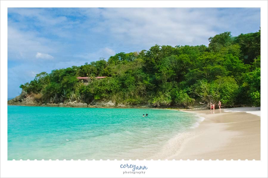 trunk bay on st john usvi