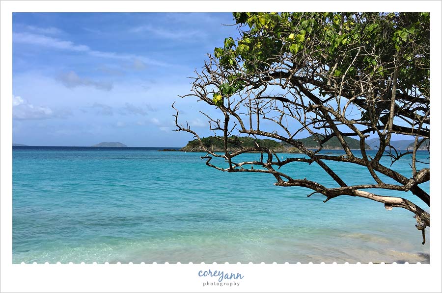 cinnamon bay st john beach in december