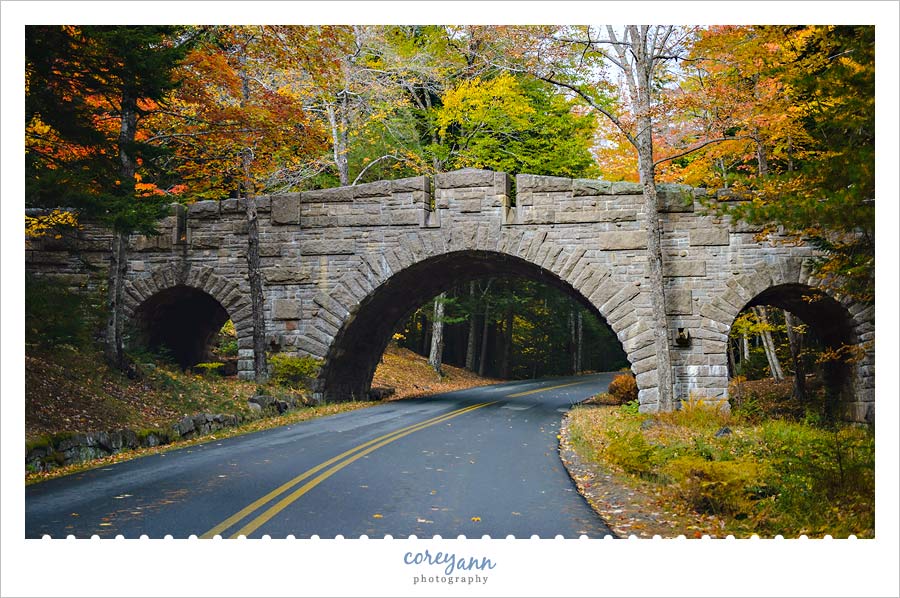 Carriage Road Bridge in October in Acadia National Park