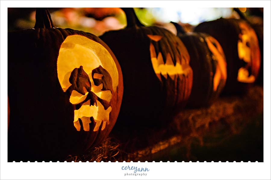 Carved pumpkins outside of anchorage by the sea in ogunquit for halloween