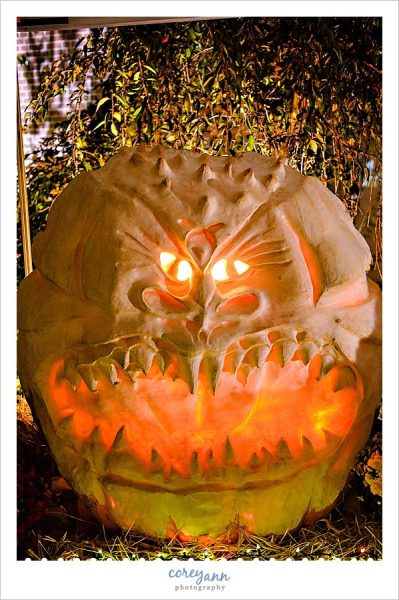 large skinnned pumpkin that has been carved