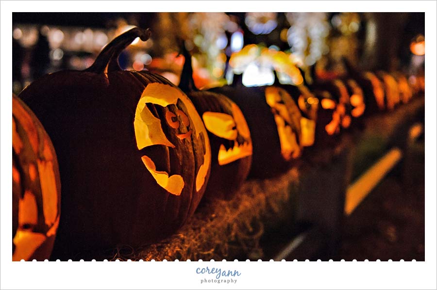 Ogunquitfest Pumpkins in October 