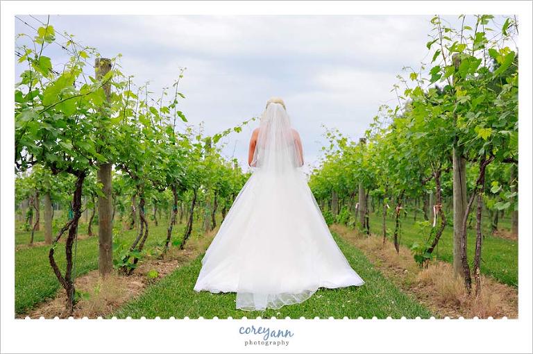 Bride in vineyard for first look in Ohio