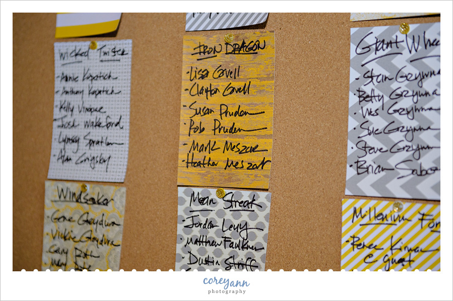 Cedar Point Themed Seating Chart