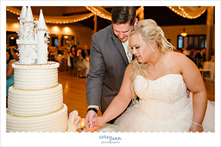 bride and groom cutting cakes of elegance cake