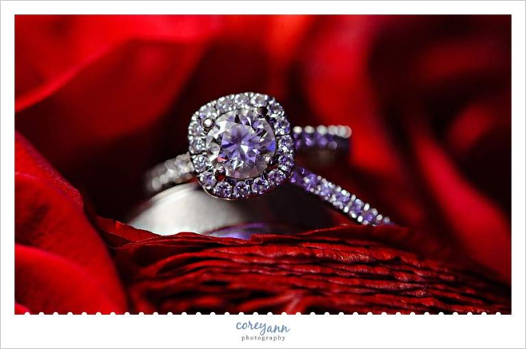 Wedding rings on red rose