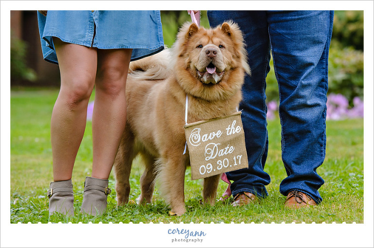 Dog Save the Date Engagement Announcement