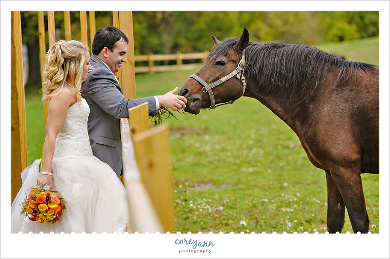 bride and groom feeding a horse