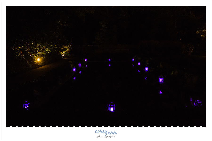 purple lanterns lighting up reflective pool 