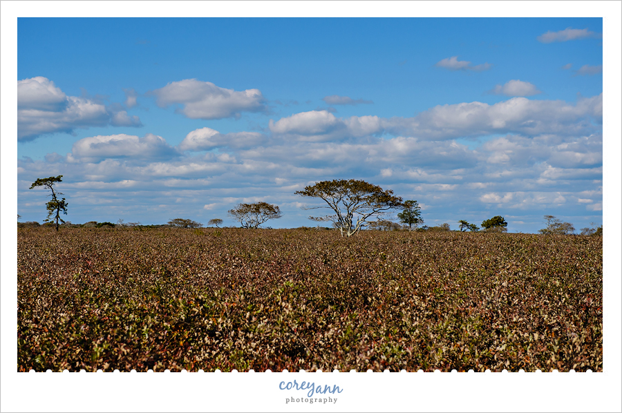Nantucket Serengeti Trail