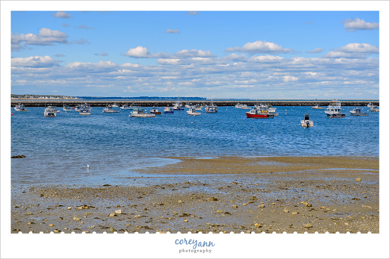 Shore and Boats of Plymouth Massachusetts