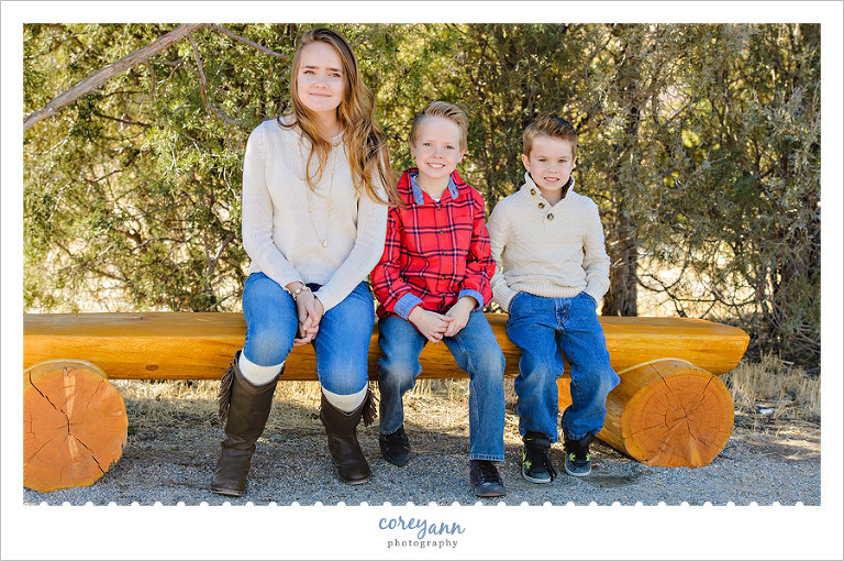 Colorado Family Portrait Photographer 