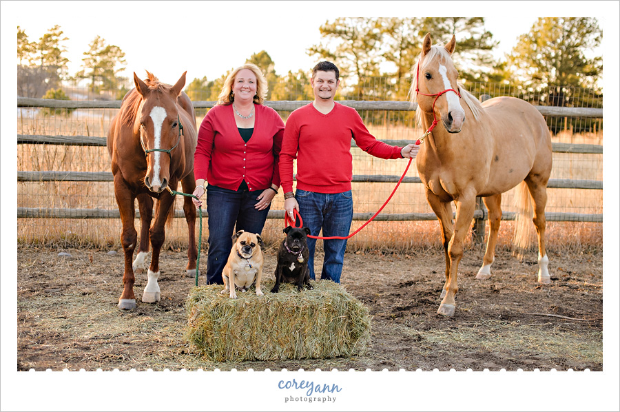 Farm Holiday Mini Session in Colorado