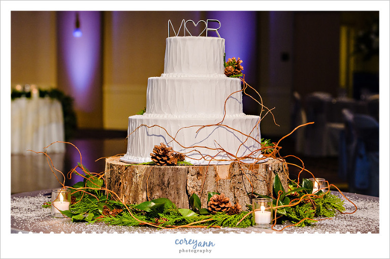Winter wedding cake on tree stump