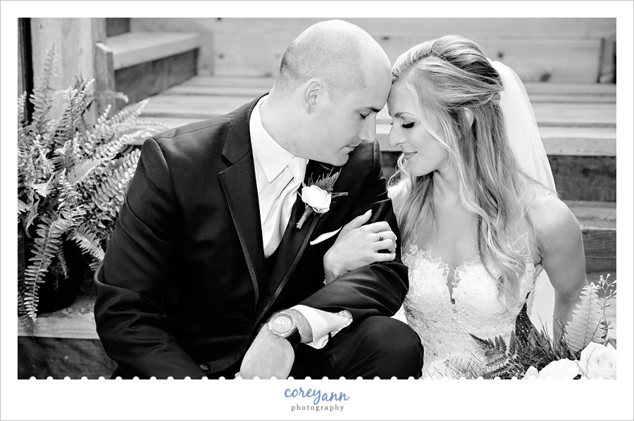Bride and Groom wedding portrait at Mapleside Farms