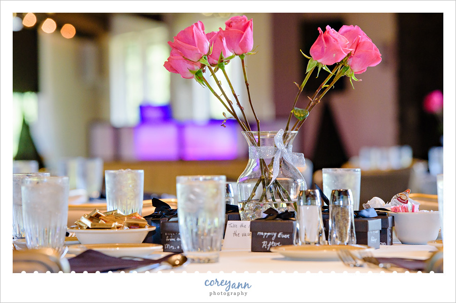 Wedding Reception at Skyland Pines in Canton