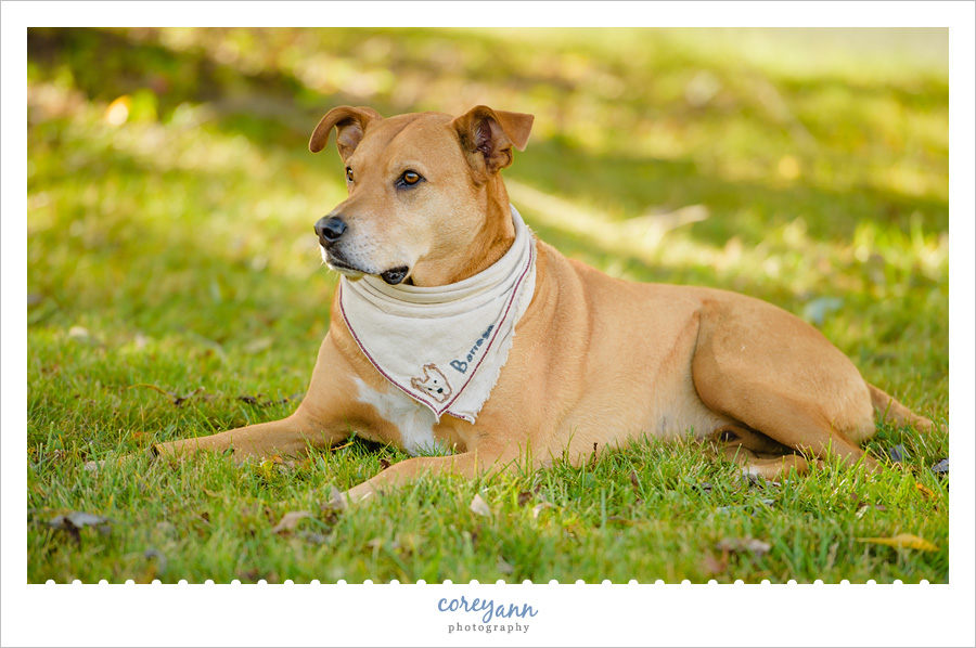 Backyard Wedding Reception in Kent Ohio