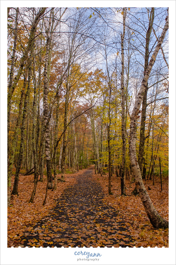 Sieur de Monts Nature Center in October