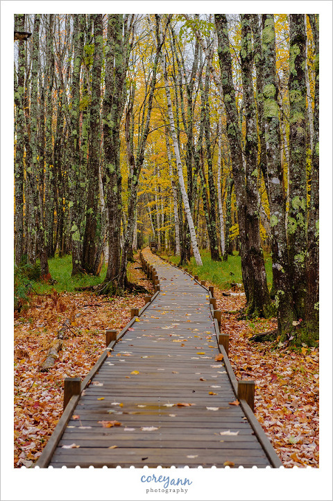 Acadia National Park in October