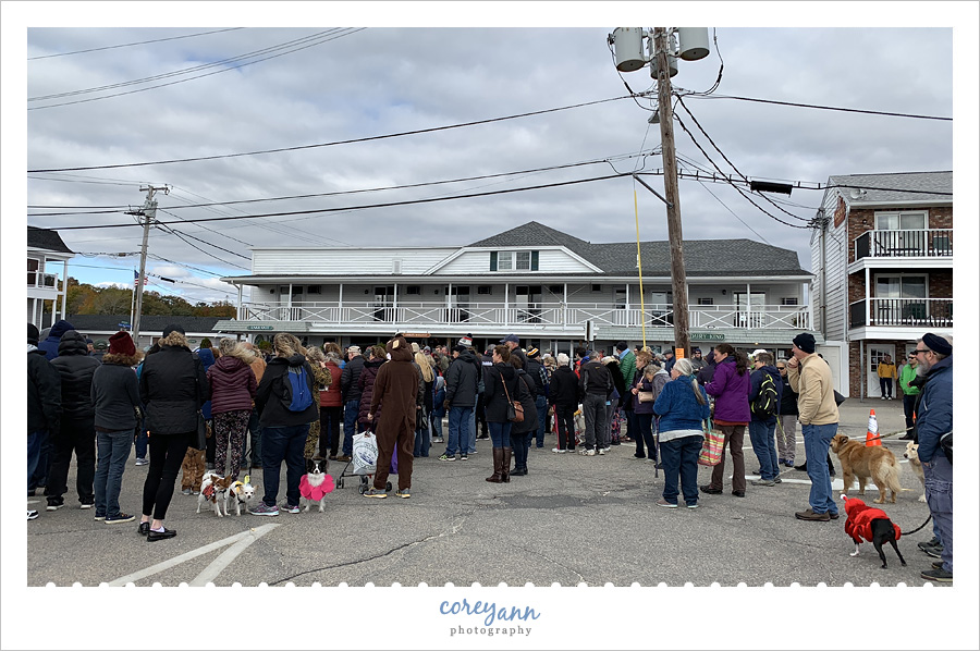 Dog Costume Contest Ogunquit