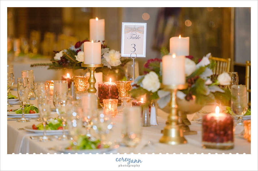 Christmas Wedding Reception at Hyatt Arcade