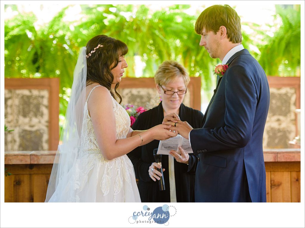 Conservatory Wedding at Gervasi Vineyard