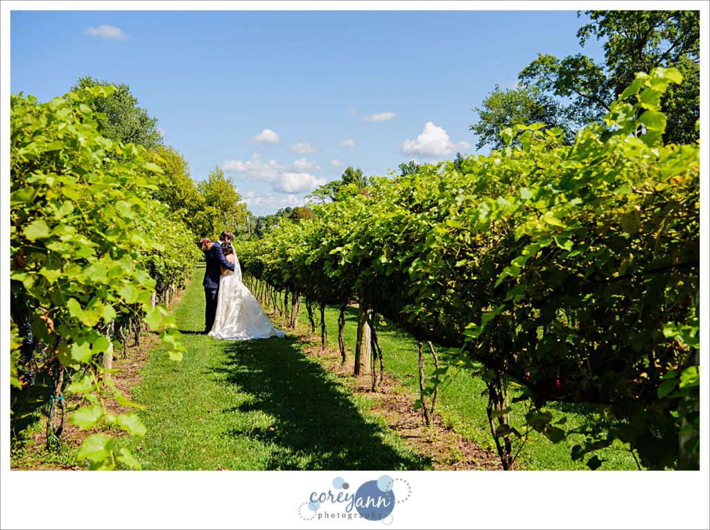 August Wedding at Gervasi Vineyard