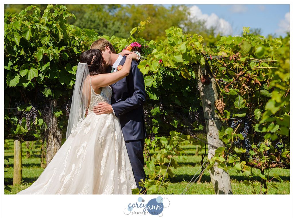 August Wedding at Gervasi Vineyard