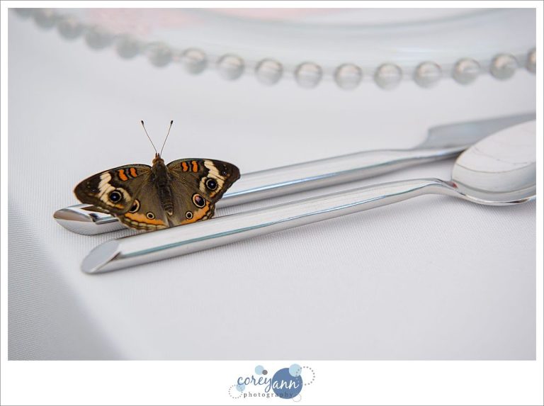 Moth on silverware at wedding reception