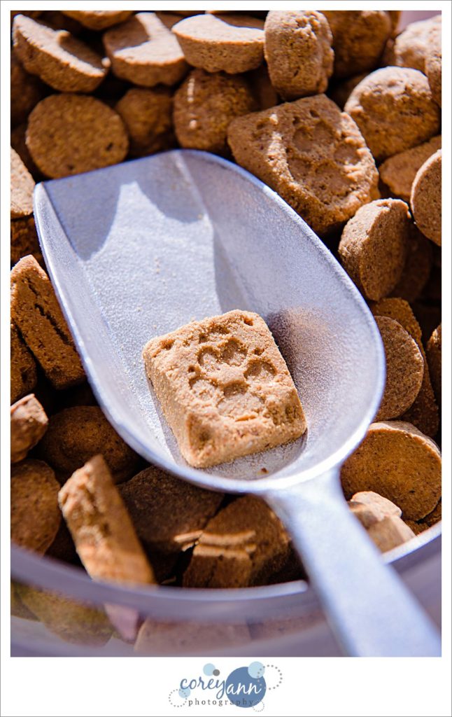 Dog treat wedding reception favors