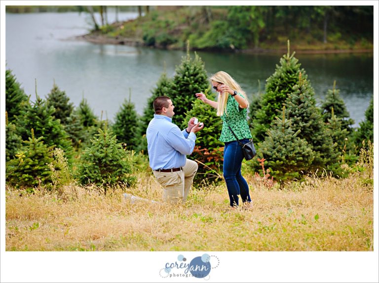 engagement proposal at Pine Tree Barn in Wooster