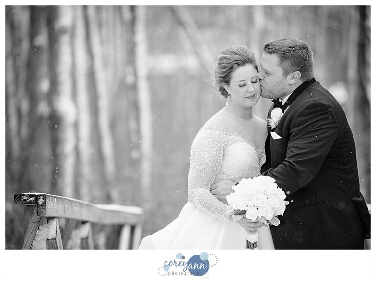 snowy wedding portraits on NYE at boettler park in green ohio