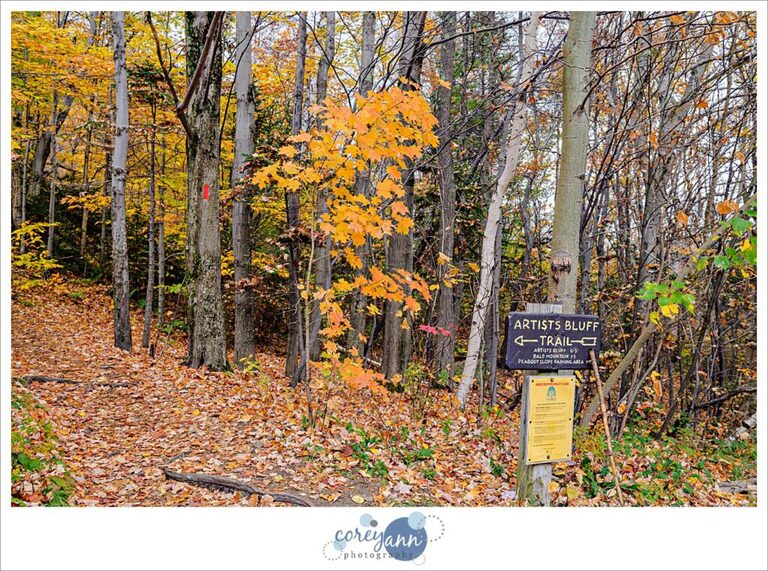 Artists Bluff Trail in New Hampshire