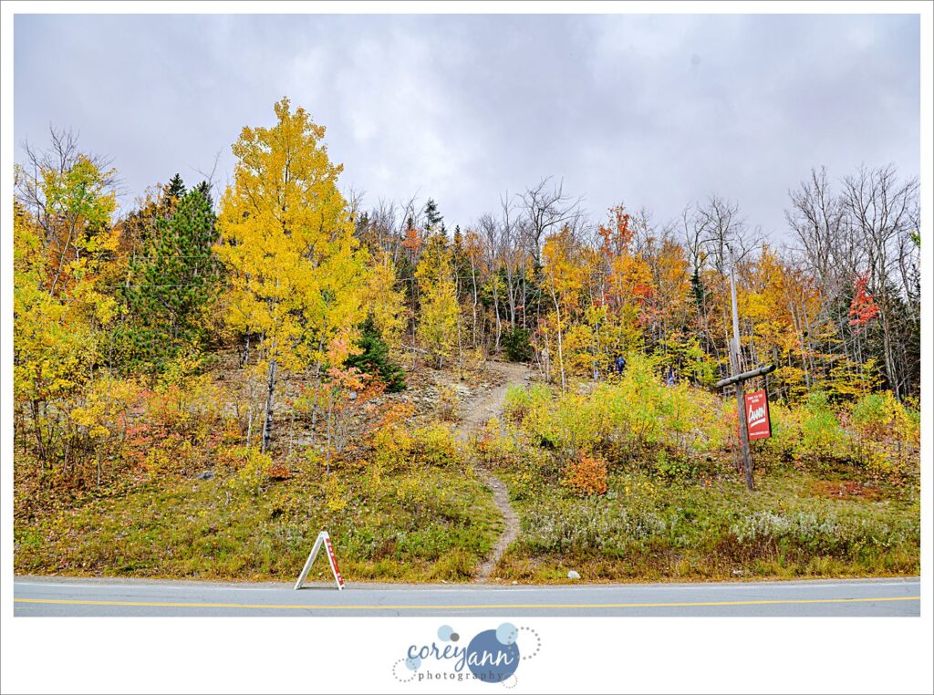 Artists Bluff Trail in New Hampshire