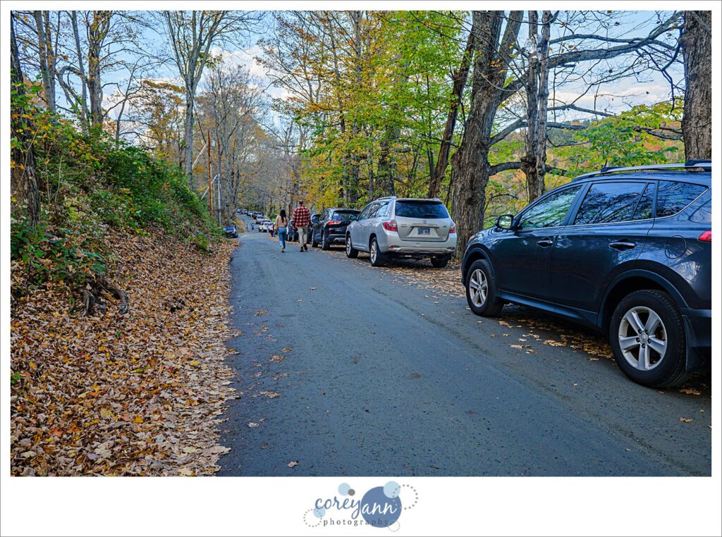 Crowds at Sleepy Hollow Farm in Woodstock