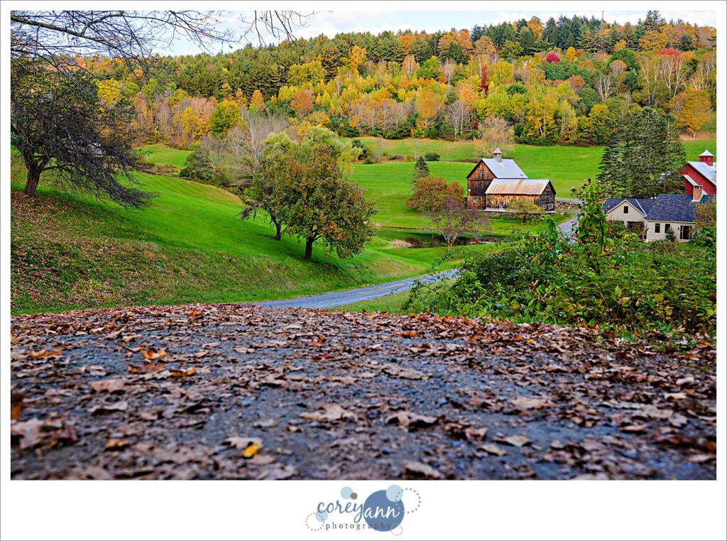 Sleepy Hollow Farm in Woodstock VT
